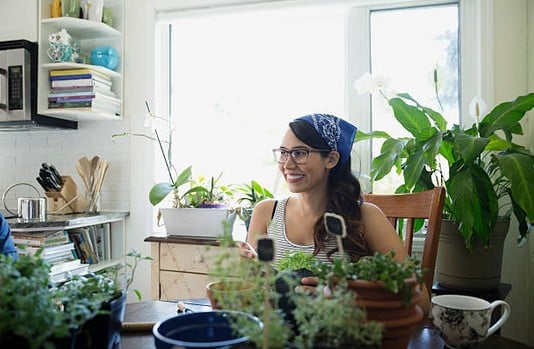 Vraies ou fausses, je veux des plantes dans ma cuisine !